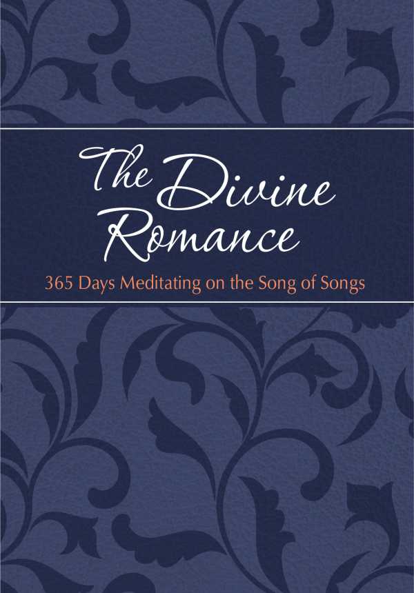 bw-the-divine-romance-broadstreet-publishing-group-llc-9781424555536