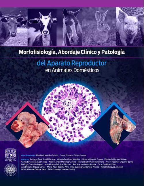 Morfofisiolog?a abordaje cl?nico y patolog?a del aparato reproductor en animales dom?sticos