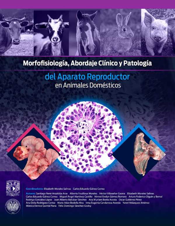 bw-morfofisiologiacutea-abordaje-cliacutenico-y-patologiacutea-del-aparato-reproductor-en-animales-domeacutesticos-facultad-de-medicina-veterinaria-y-zootecnia-9786075870304