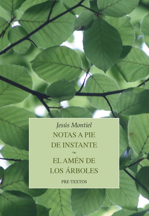 NOTAS A PIE DE INSTANTE EL AMEN DE LOS ARBOLES