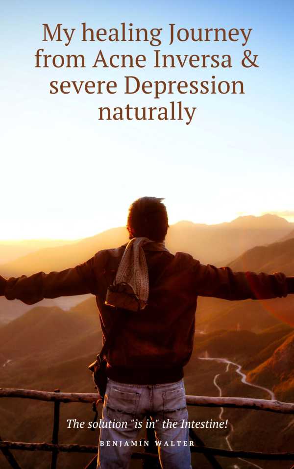 bw-my-healing-journey-from-acne-inversa-amp-severe-depression-naturally-bens-praxisratgeber-gesundheit-9783988652461
