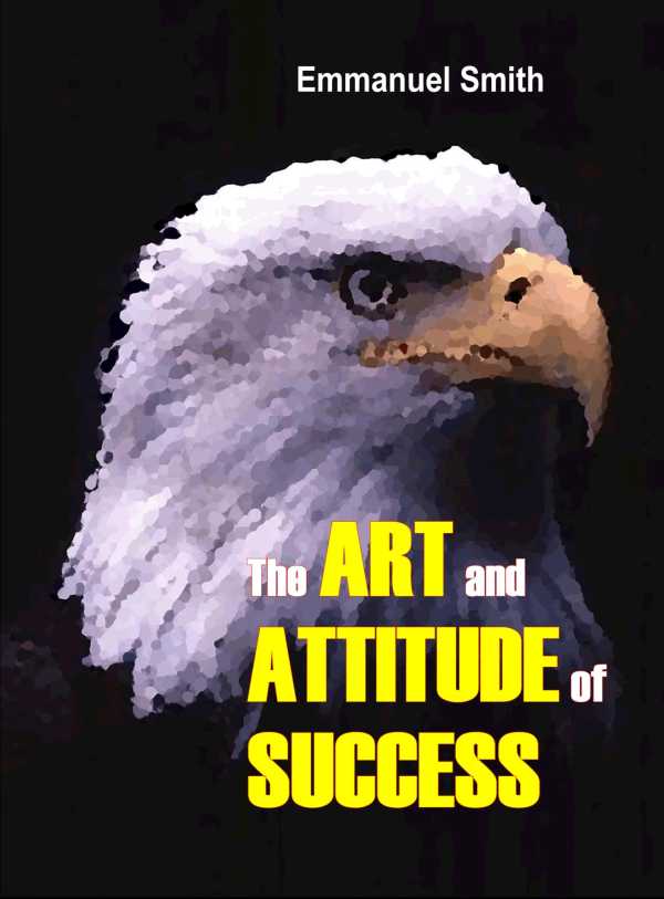 bw-the-art-and-attitude-of-success-xceedia-publishing-9783955775070