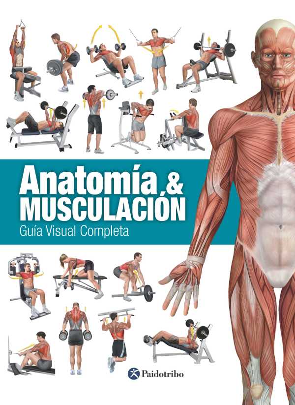 bw-anatomiacutea-amp-musculacioacuten-paidotribo-9788499105758
