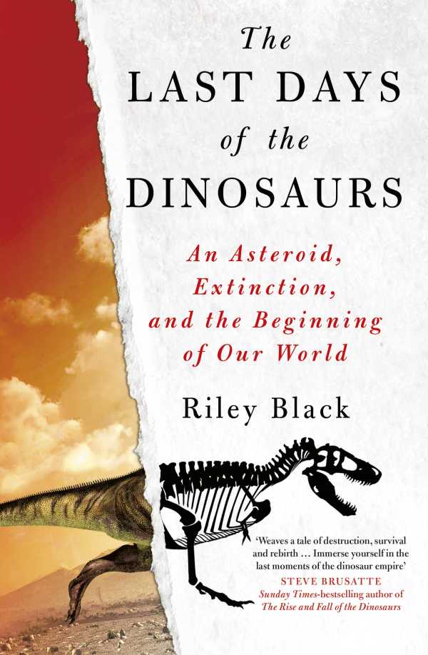 bw-the-last-days-of-the-dinosaurs-the-history-press-9781803990729