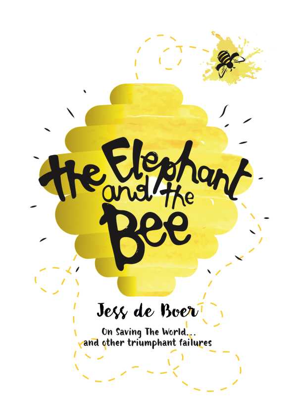 bw-the-elephant-and-the-bee-jacaranda-books-9781909762251