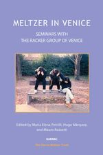 bw-meltzer-in-venice-karnac-books-9781781816714