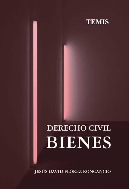 Derecho civil bienes