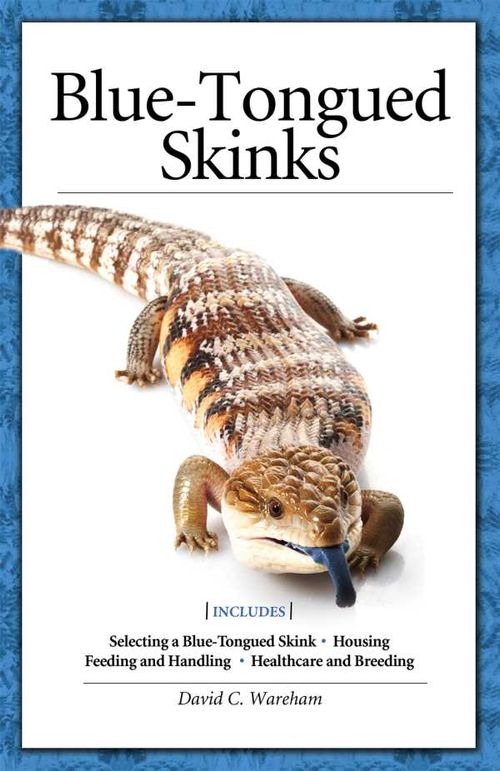 BlueTongued Skinks