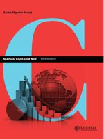 Manual contable NIIF