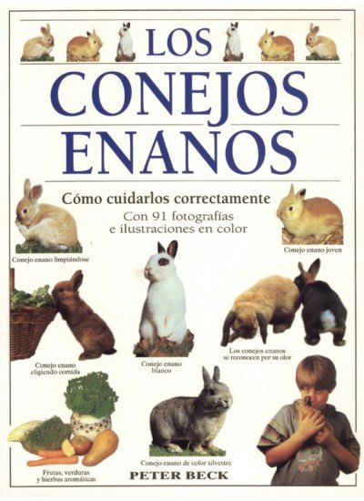 LOS CONEJOS ENANOS
