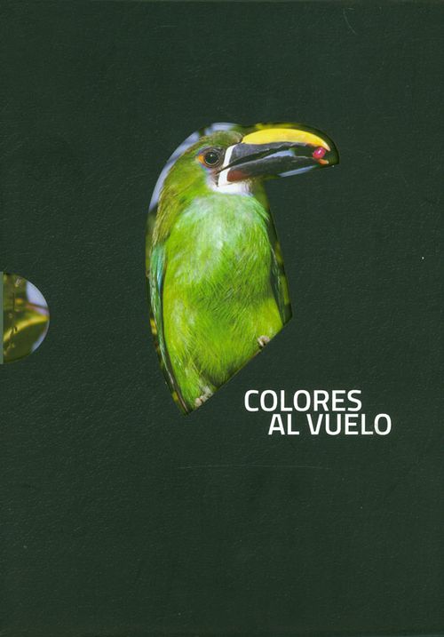 Colores al vuelo