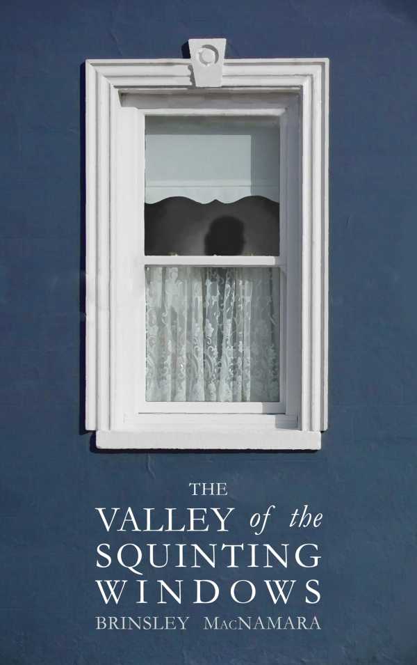bw-the-valley-of-the-squinting-windows-mercier-press-9781781176504