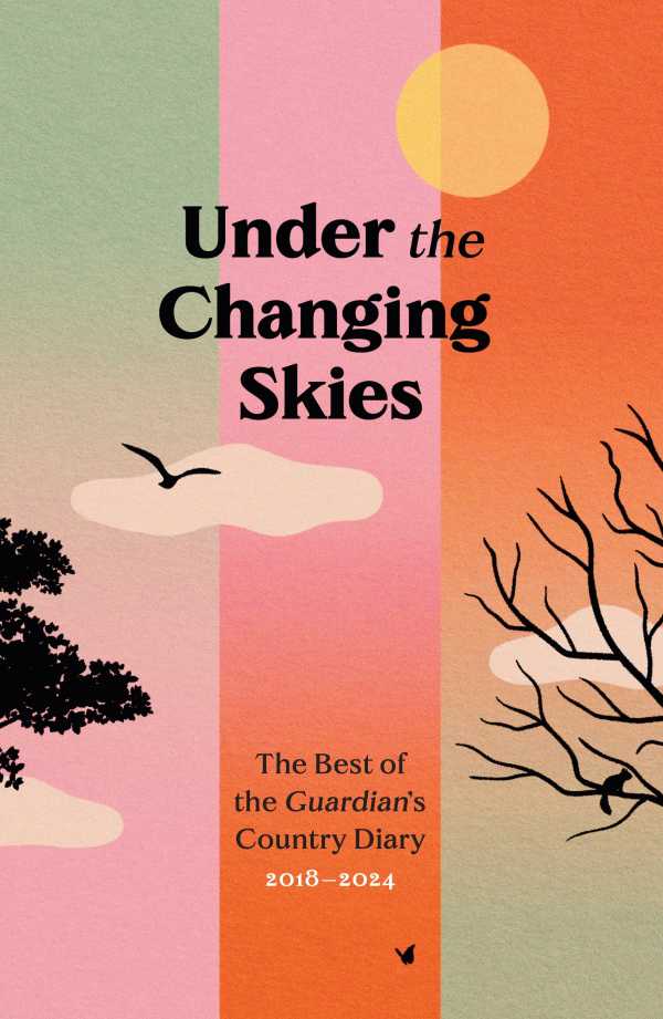 bw-under-the-changing-skies-guardian-faber-publishing-9781783353118