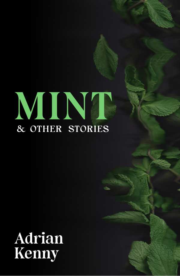 bw-mint-amp-other-stories-the-lilliput-press-9781843519614