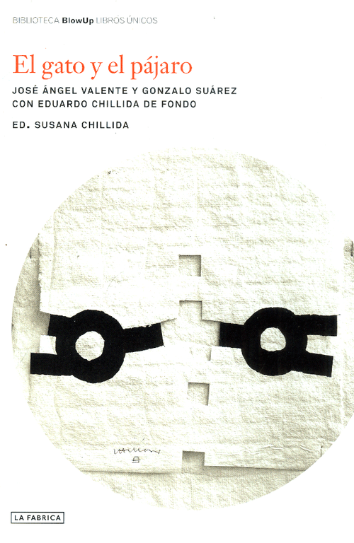 El gato y el pájaro