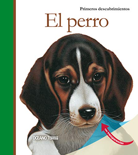 El Perro Con Transparencias