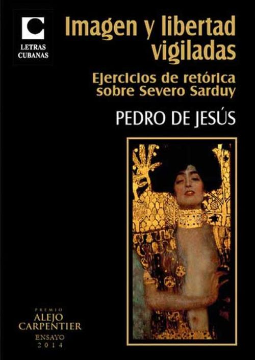 Imagen y libertad vigiladas