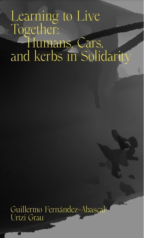 LEARNING TO LIVE TOGETHER HUMANS CARS AND KERBS IN SOLID