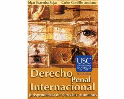 Derecho Penal Internacional Jurisprudencia de Derechos Humanos