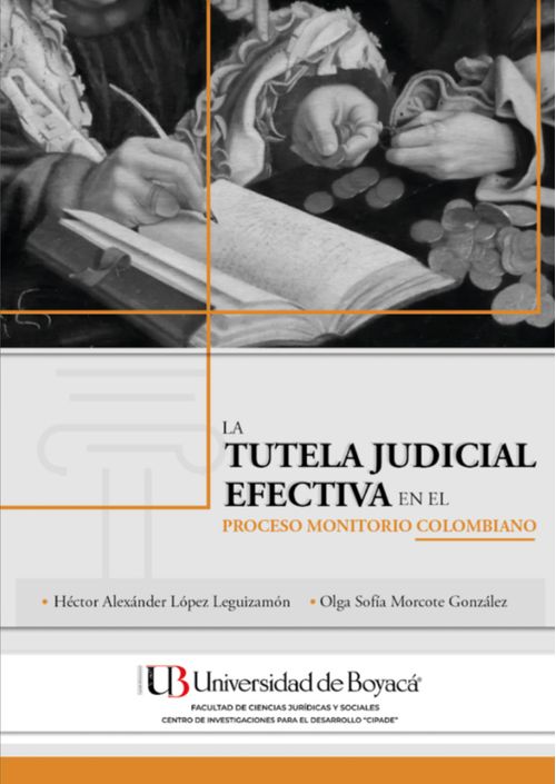 La tutela judicial efectiva en el proceso monitorio colombiano