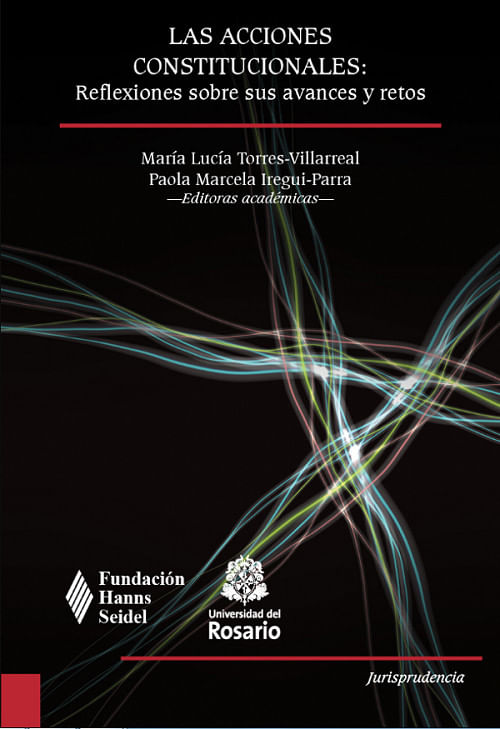 Las acciones constitucionales reflexiones sobre sus avances y retos