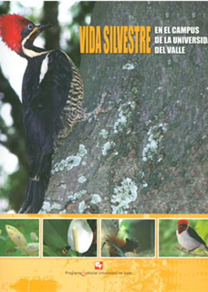 Vida silvestre en el campus de la Universidad del Valle