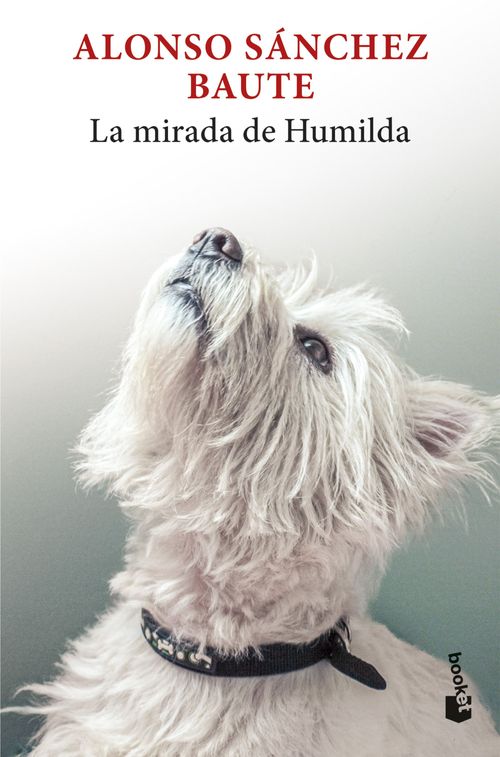 La mirada de Humilda