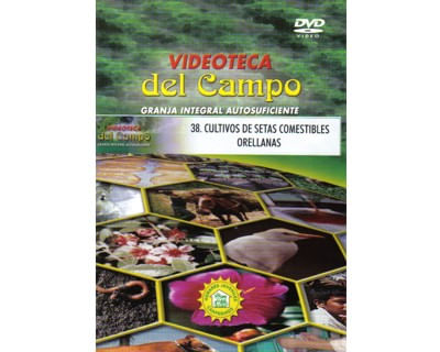 Cultivos de setas comestibles orellanas