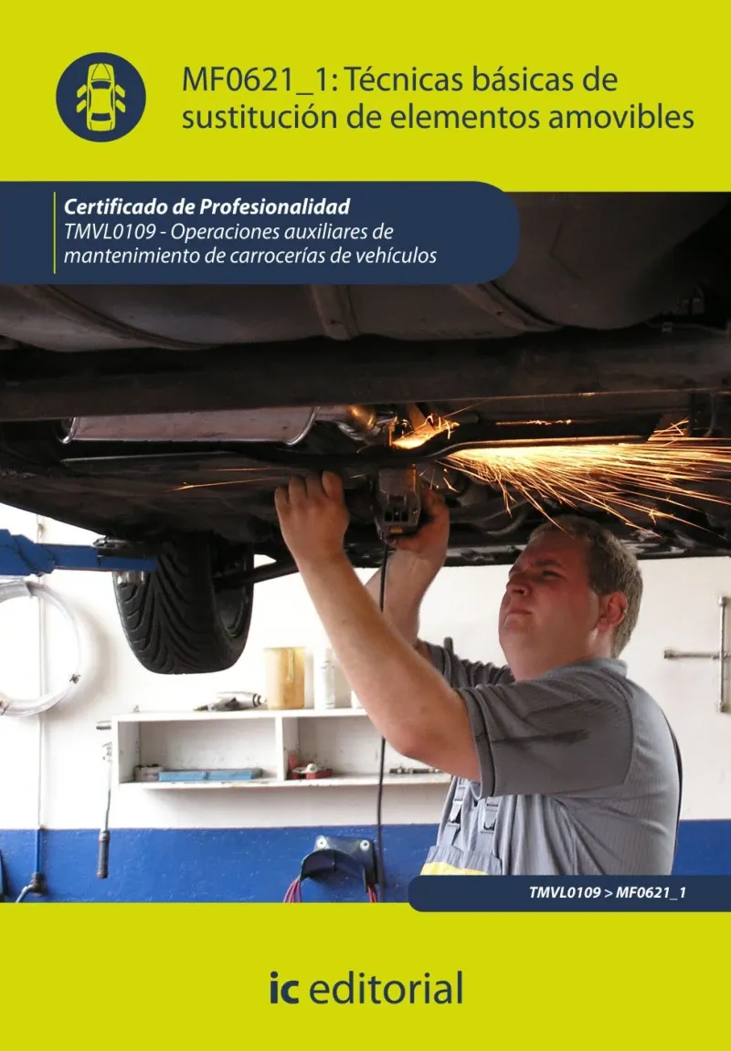 Tecnicas basicas de sustitucion de elementos amovibles TMVL0109