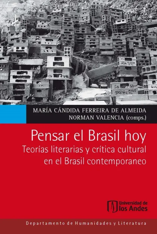 Pensar el Brasil hoy Teorias literarias y critica cultural en el Brasil contemporaneo