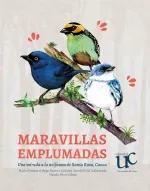 Maravillas Emplumadas