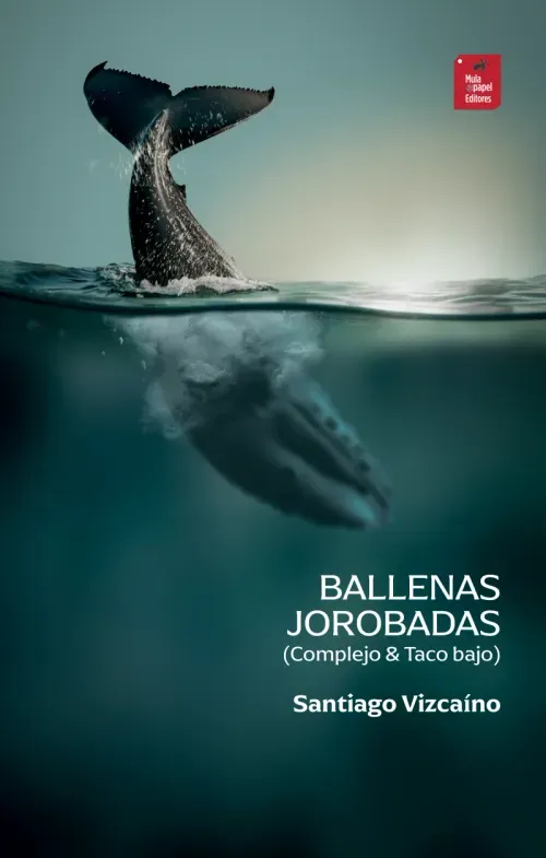 Ballenas jorobadas Complejo  Taco bajo