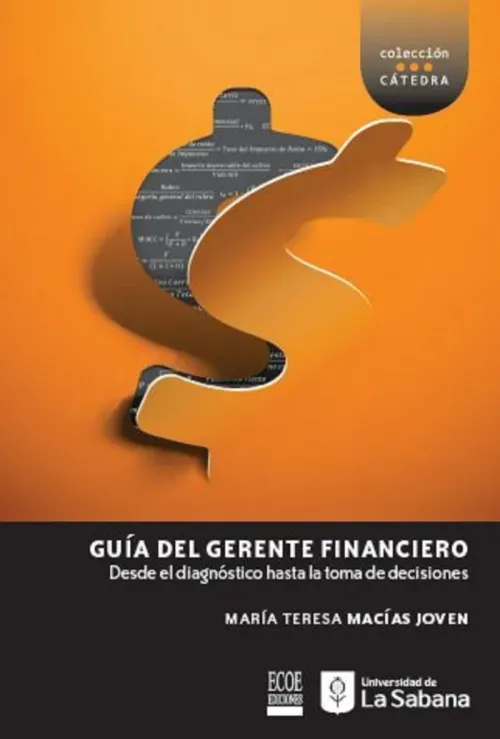 Guia de gerente financiero