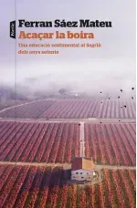 Acaçar la boira