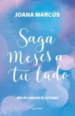 Saga Meses a tu lado estuche con Antes de diciembre  Despues de diciembre  Tres meses  Las luces de