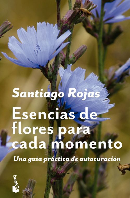 Esencias de flores para cada momento
