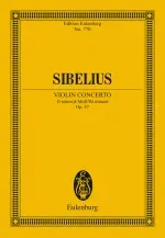 Violin Concerto D minor