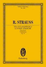 Till Eulenspiegels lustige Streiche