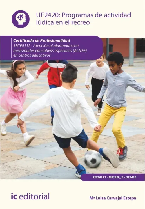 Programas de actividad ludica en el recreo SSCE0112