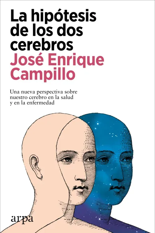 La hipotesis de los dos cerebros