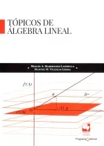 Topicos de algebra lineal