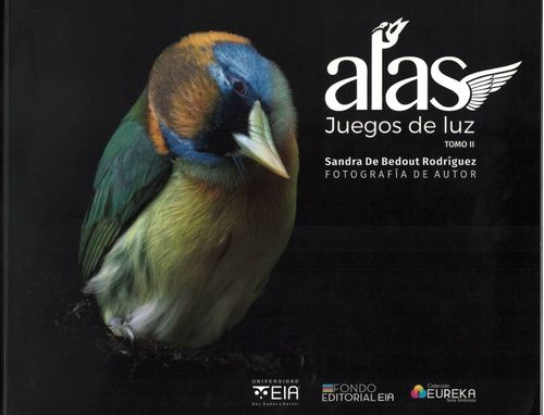 Alas juegos de luz  Tomo II