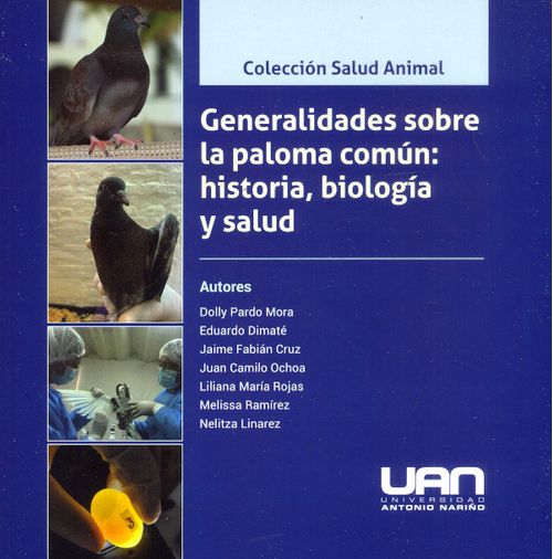 Generalidades sobre la paloma común historia biología y salud