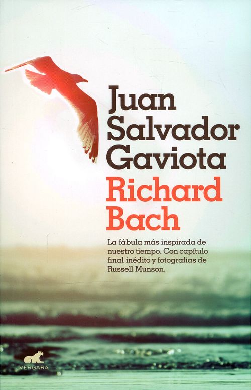 Juan Salvador Gaviota