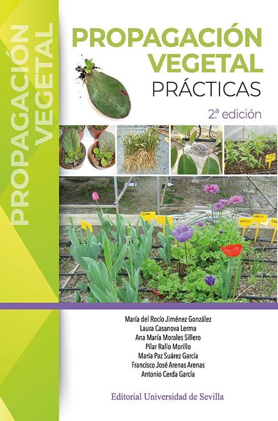 PROPAGACION VEGETAL PRACTICAS