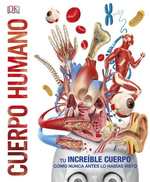 Cuerpo humano