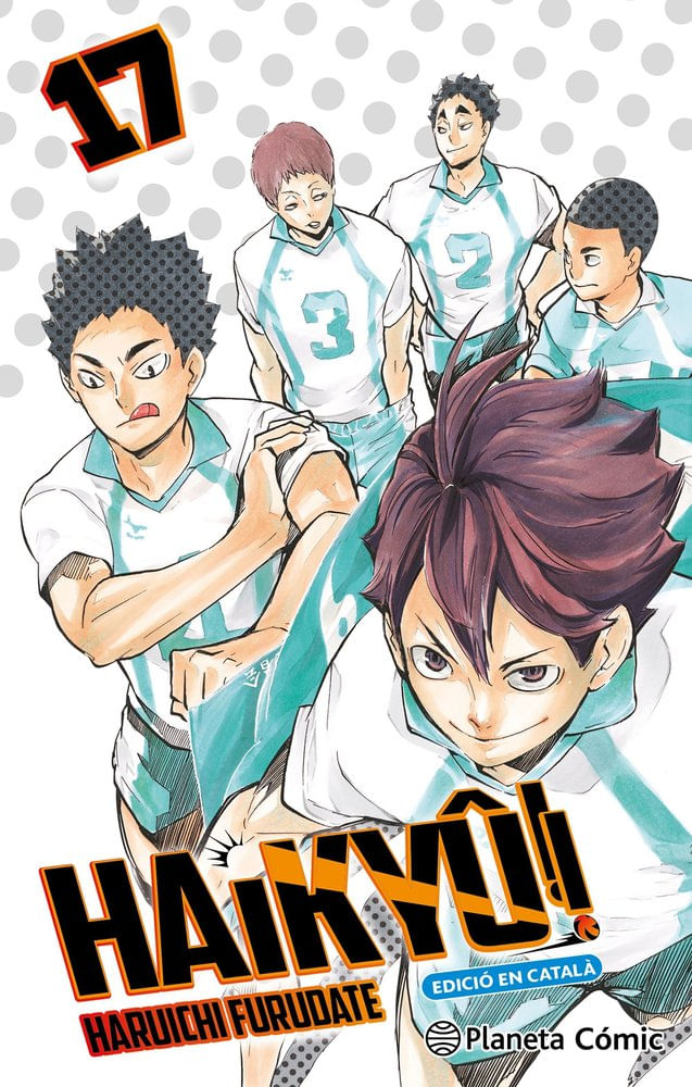 HAIKYU 17 CAT