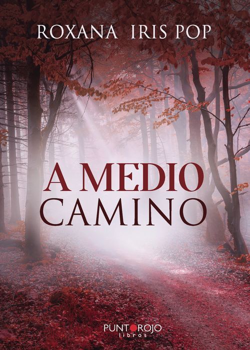 A medio camino