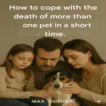 How to Cope With the Death of More Than One Pet in a Short Time