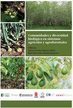Main
